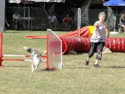 Du Monde d'Azuven - 1er concours agility pour Azur