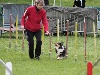  - 1er concours agility pour Dypsie